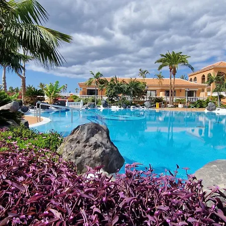 Playa Vistas With Breathtaking Sea View, Only 100 M To The Sea, Heated Pool, Aircondition For A Fee, Wifi 公寓 *